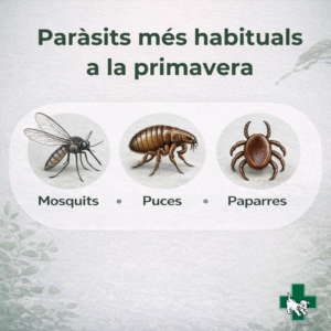 pàrasits externs, mosquits, puces, paparres